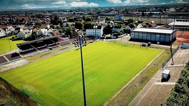 尤其是他职 尤其是他职