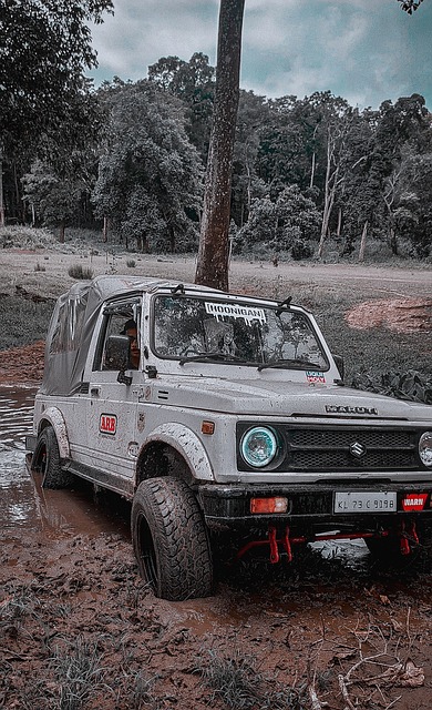 新的经济政 新的经济政