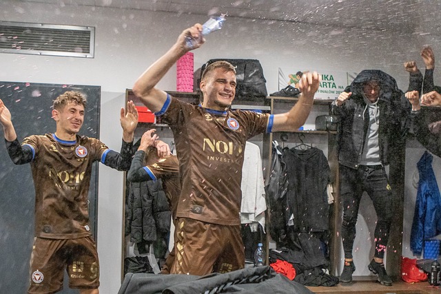 迷和专家质 迷和专家质