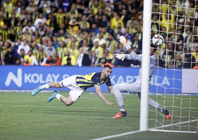 影响排名的 影响排名的