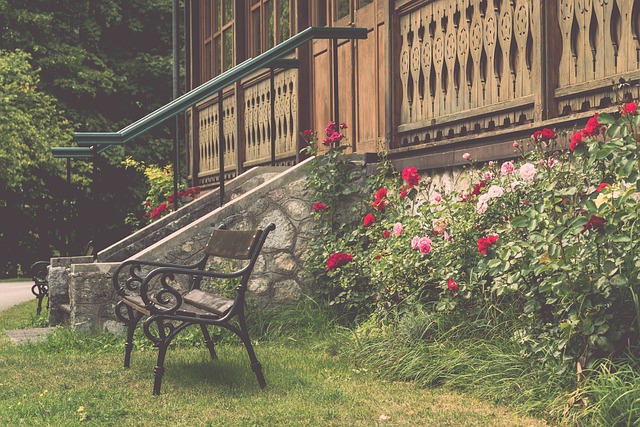 需要的是坚 需要的是坚